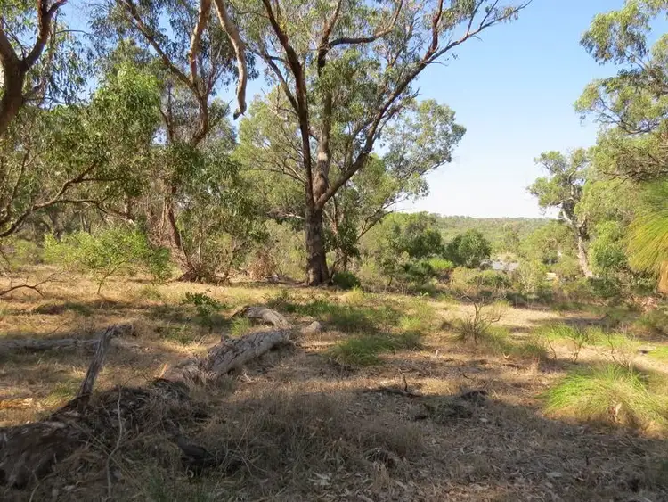 Fourth view of Homely land listing, 38 Timber Grove, Two Rocks WA 6037
