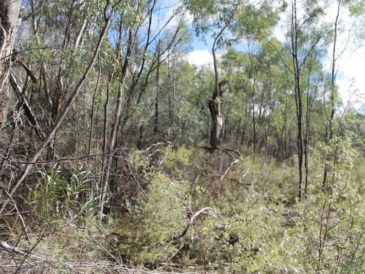 Seventh view of Homely rural property listing, Lot 2 DP 8 Gulf Rd, Emmaville NSW 2371