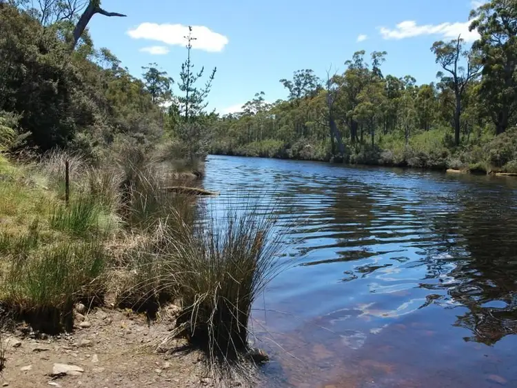 Main view of Homely land listing, Lune River Road, Lune River TAS 7109