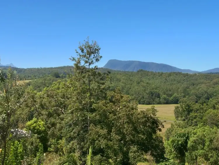Fifth view of Homely rural property listing, 5380 Kyogle Road, Cawongla NSW 2474