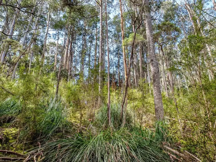 Third view of Homely land listing, 231 Cripps Road, Woodbridge TAS 7162