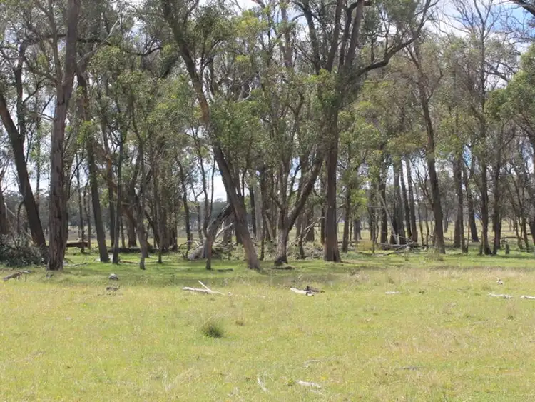 Sixth view of Homely land listing, Lot 330 Torrington Rd, Deepwater NSW 2371