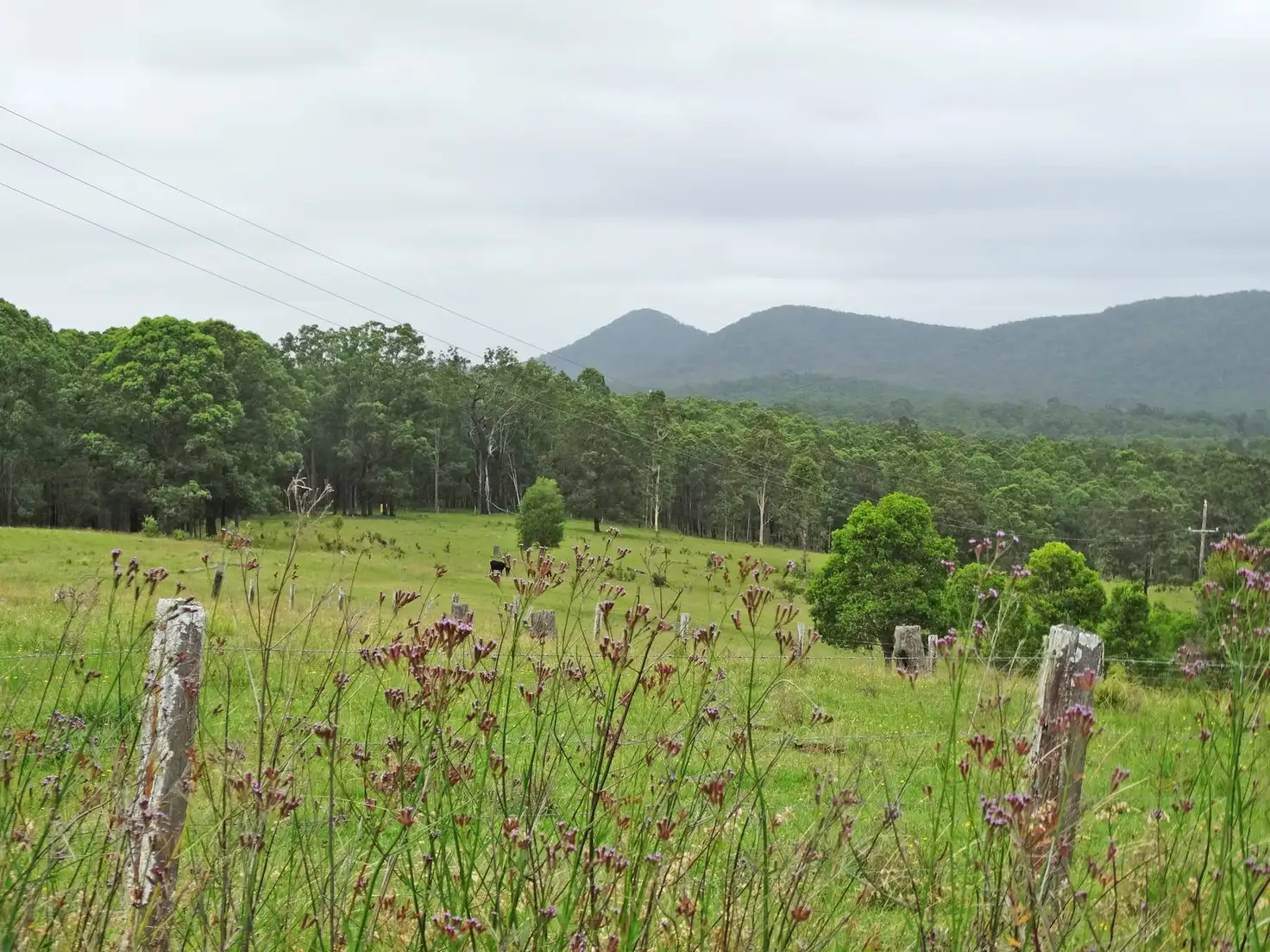 Main view of Homely land listing, Lot 3 Booral Road, Girvan NSW 2425