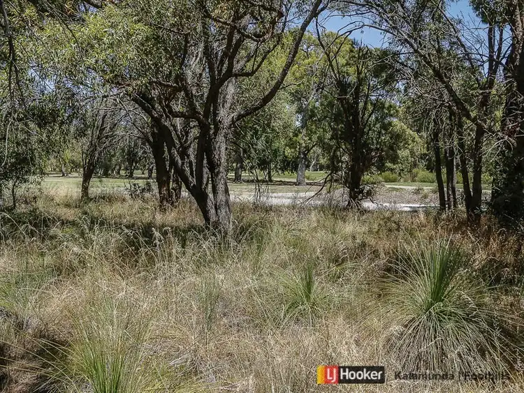 Fifth view of Homely house listing, 33 Lewis Road, Wattle Grove WA 6107