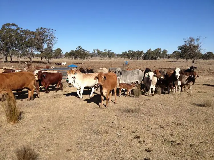 899 Roma/Taroom Road, Roma QLD 4455