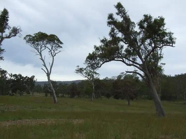 Lot 13 Newlyns Estate, Bega NSW 2550