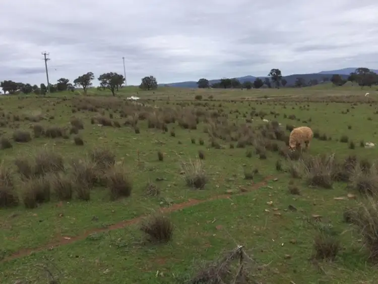 Seventh view of Homely land listing, 84 Cultowa Lane, Canowindra NSW 2804