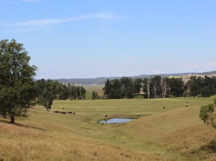 Main view of Homely land listing, Lot 551 Emma Road (Tarraganda), Bega NSW 2550