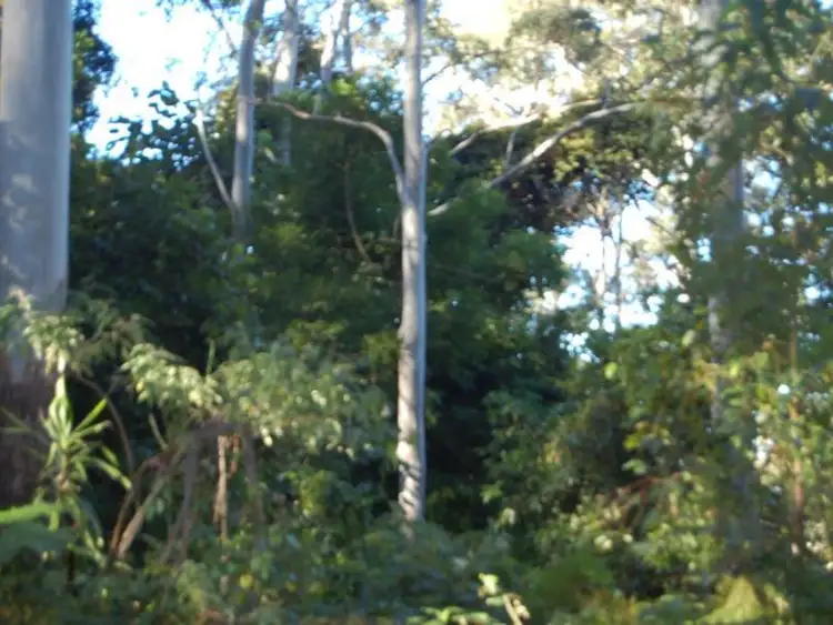 Fourth view of Homely rural property listing, Lot 34 & 3 Upper Buckrabenndinni, Bowraville NSW 2449