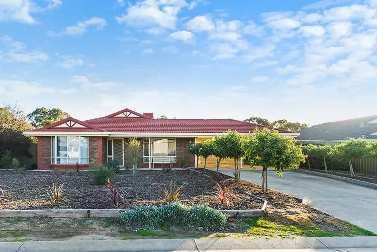Main view of Homely house listing, 84 Fiddlewood Drive, Freeling SA 5372
