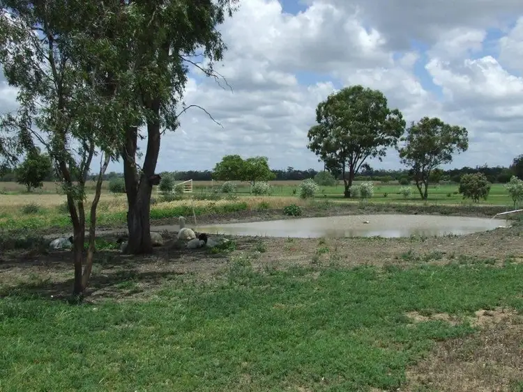 Third view of Homely rural property listing, Jecuzi Tarrawingee Road, Moree NSW 2400