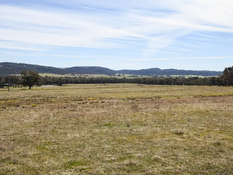 Fifth view of Homely rural property listing, 462 Gooloogong Road, Grenfell NSW 2810