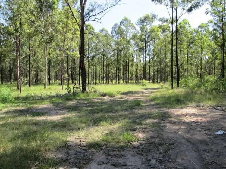 Second view of Homely rural property listing, Lot 1 Old Wyan Road, Rappville NSW 2469