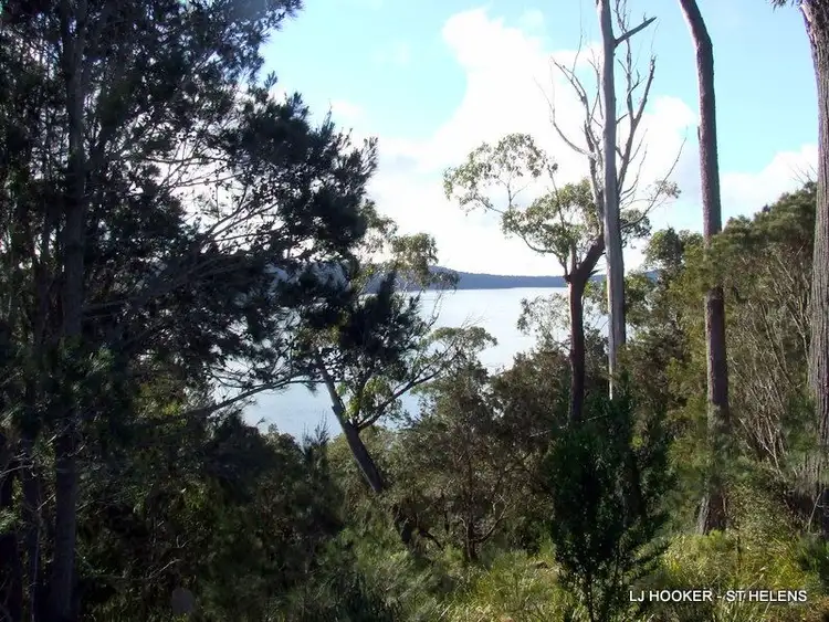 Third view of Homely land listing, 53 St Helens Point Road, Stieglitz TAS 7216