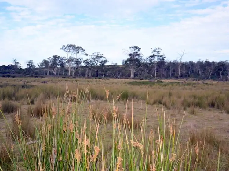 Seventh view of Homely land listing, 10220 Tasman Highway, Little Swanport TAS 7190