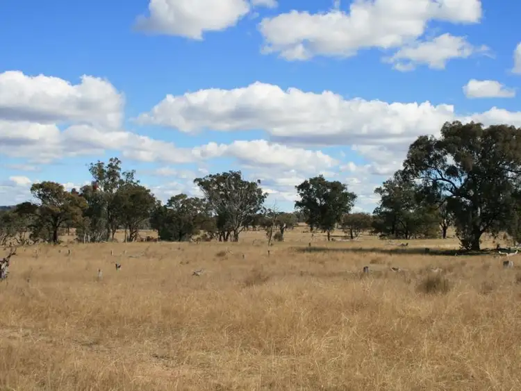 Fifth view of Homely rural property listing, 732 Springdale Raod, Stanthorpe QLD 4380
