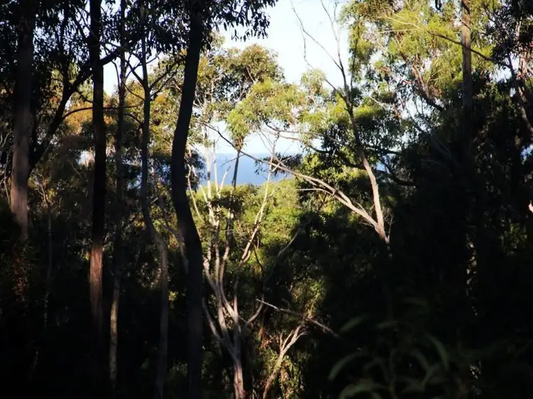 Third view of Homely land listing, Lot 3 Phyllis Price Drive, Moruya NSW 2537