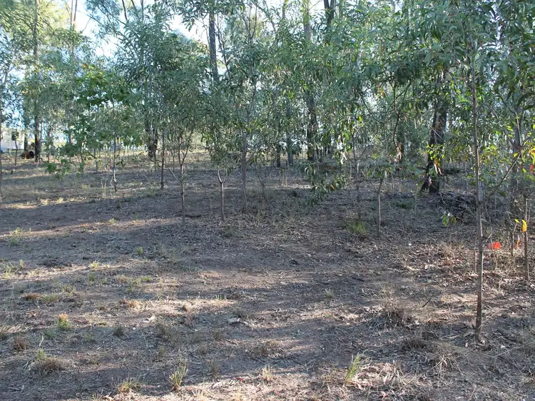 Third view of Homely land listing, 41 Sandpiper Drive, Regency Downs QLD 4341