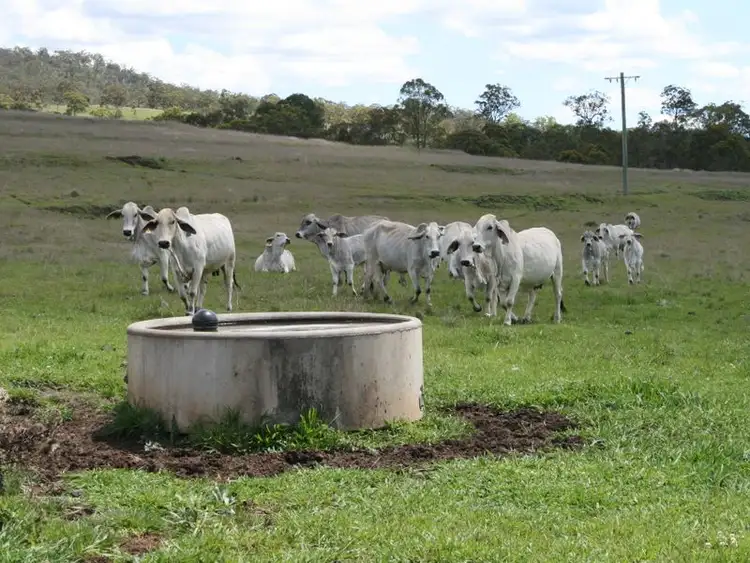 Second view of Homely rural property listing, Lot 1 Cunningham Highway, Maryvale QLD 4370