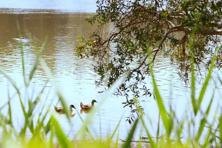 Sixth view of Homely house listing, 19 Cape Three Points Road, Avoca Beach NSW 2251