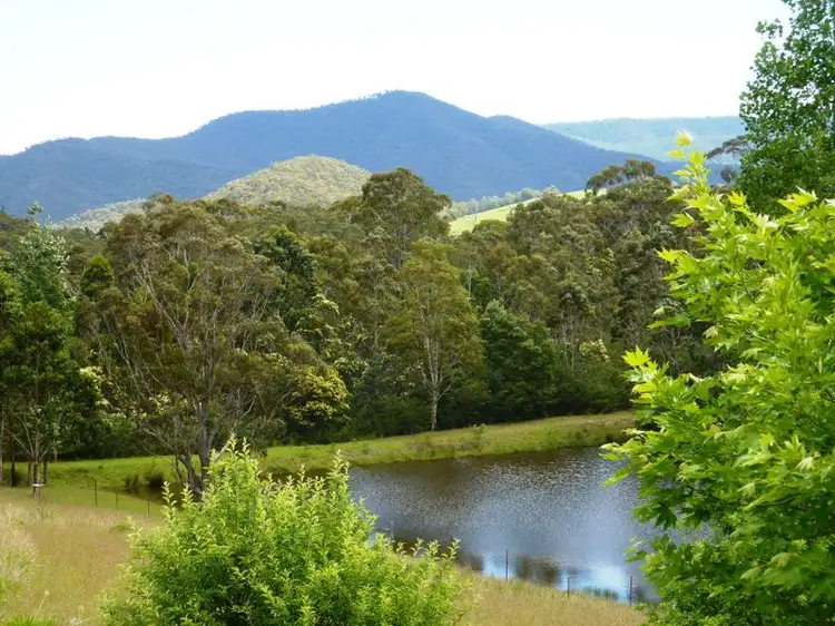 Main view of Homely house listing, 31 Lanes Road, Dargo VIC 3862