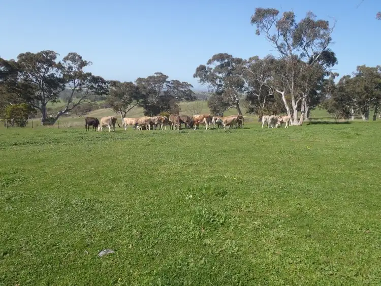 Third view of Homely land listing, 201/ Tarrawatta Road, Mount Barker SA 5251