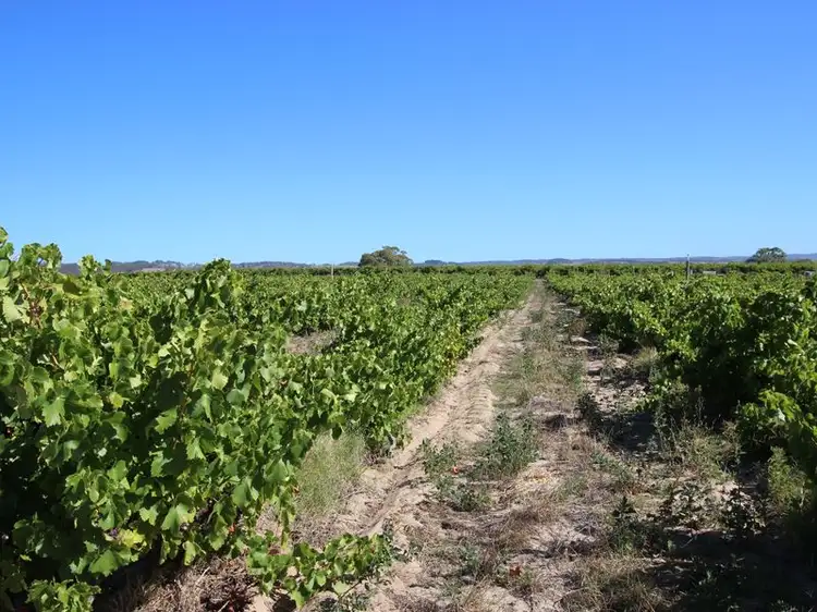 Sixth view of Homely house listing, 20 McLaren Flat Road, Mclaren Flat SA 5171