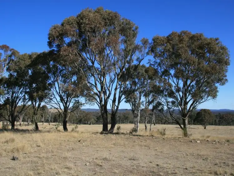 Sixth view of Homely rural property listing, Lot 348 Loloma Road Dalveen via, Warwick QLD 4370