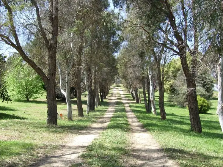 Second view of Homely rural property listing, 10 Ticehurst Close, Bega NSW 2550