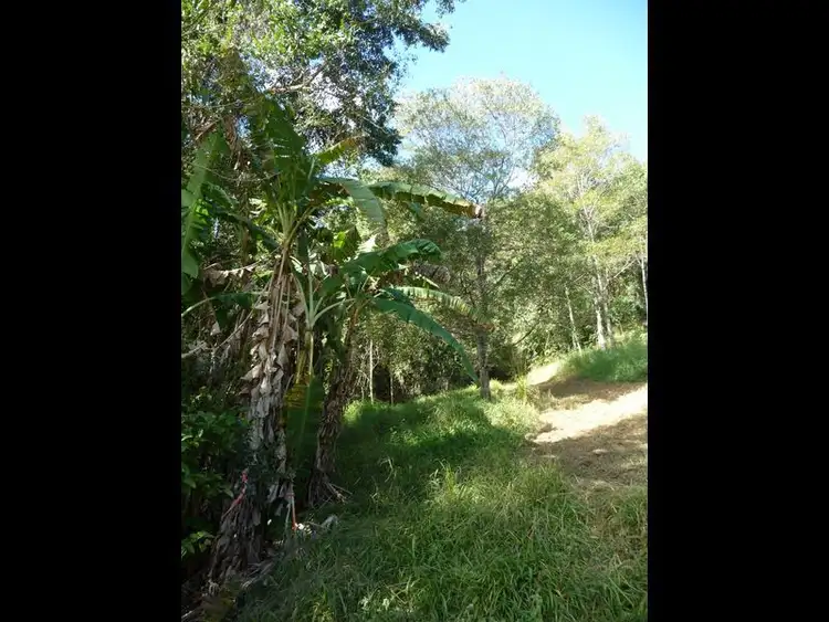 Fifth view of Homely land listing, 82 Grasstree Road, Eumundi QLD 4562