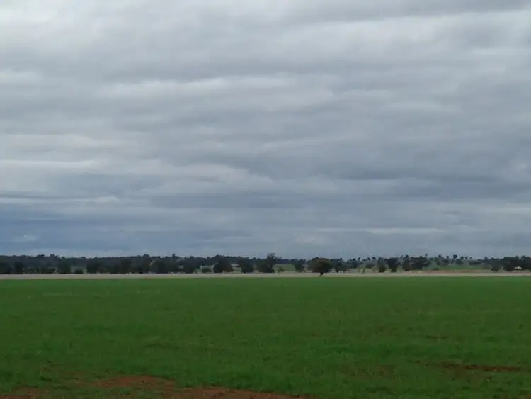 Second view of Homely rural property listing, 374 Ganantagi Rd, Ootha NSW 2875