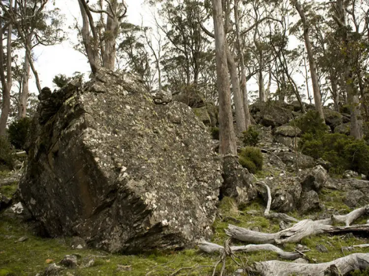 Second view of Homely rural property listing, Schulhofs Road, Blessington TAS 7212