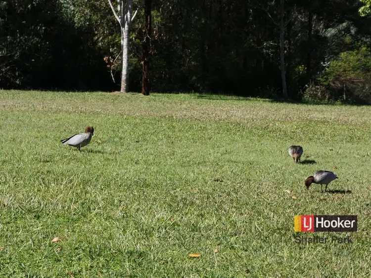 Fifth view of Homely land listing, 19 Lynette Way, Daisy Hill QLD 4127