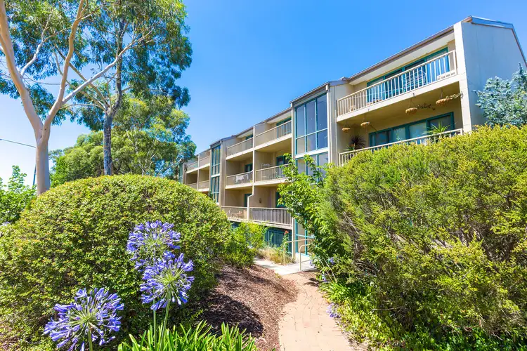 Second view of Homely unit listing, 38/53 McMillan Crescent, Griffith ACT 2603
