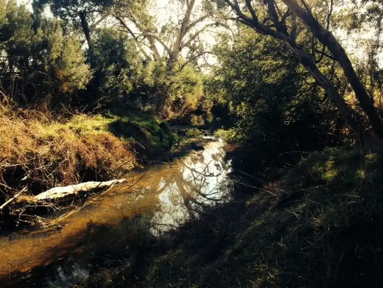 Sixth view of Homely land listing, 244 Wallis Road, Broadford VIC 3658