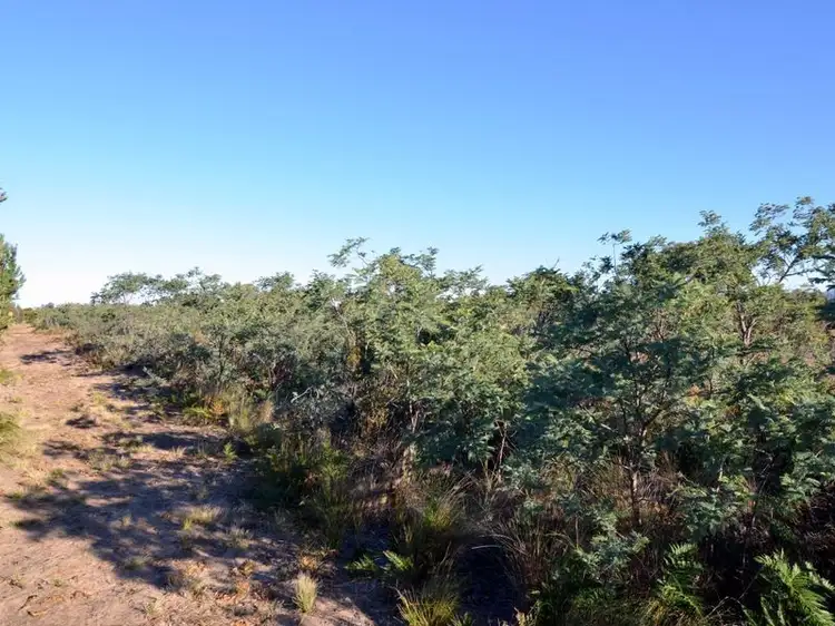 Seventh view of Homely land listing, 283 Dolphin Sands Road, Dolphin Sands TAS 7190
