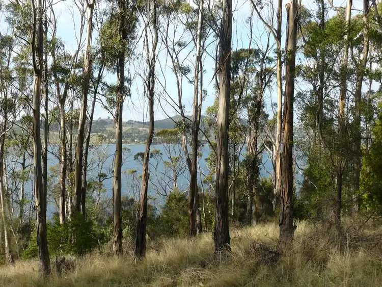 Fourth view of Homely land listing, 320 Tinderbox Road, Tinderbox TAS 7054