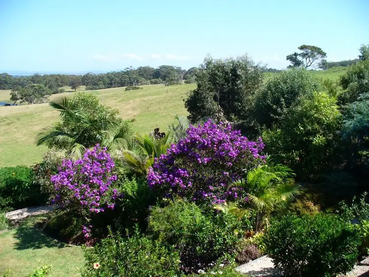 Fourth view of Homely house listing, 44 High Street, Hallidays Point NSW 2430