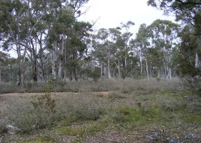 Third view of Homely rural property listing, 208 McLachlan Road, Bannaby NSW 2580