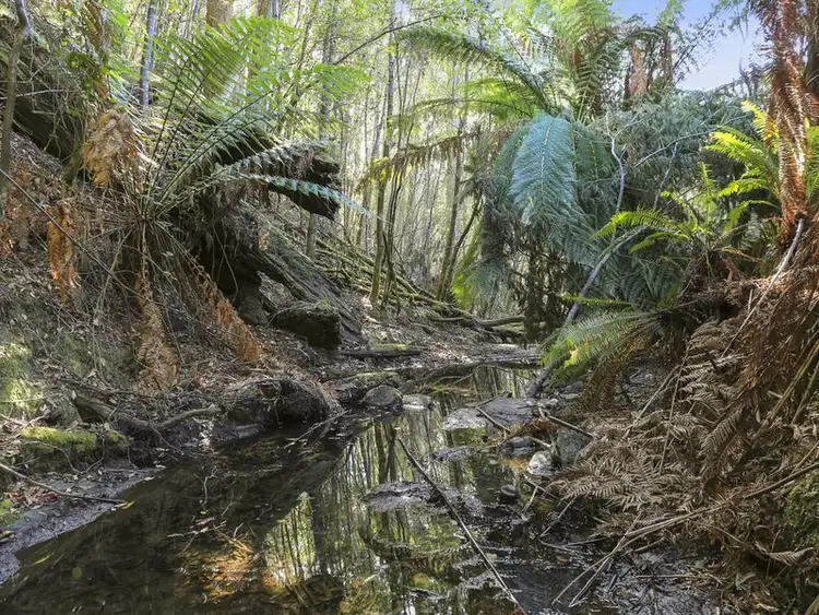 Fourth view of Homely land listing, Cripps Road, Woodbridge TAS 7162