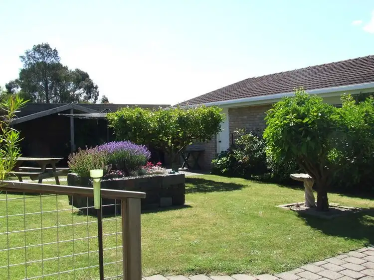 Seventh view of Homely house listing, 56 Tully Street, St Helens TAS 7216