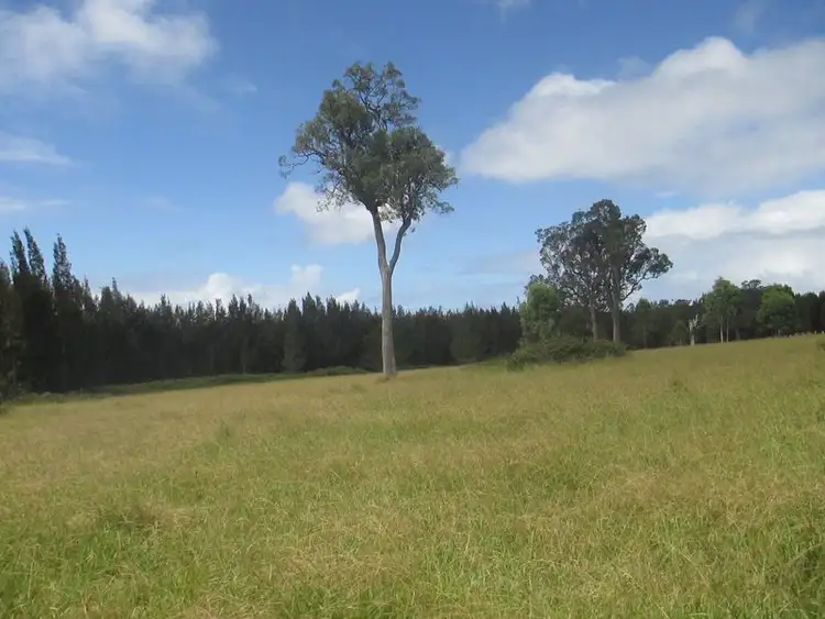 Fifth view of Homely land listing, 466 Congo Road, Congo NSW 2537