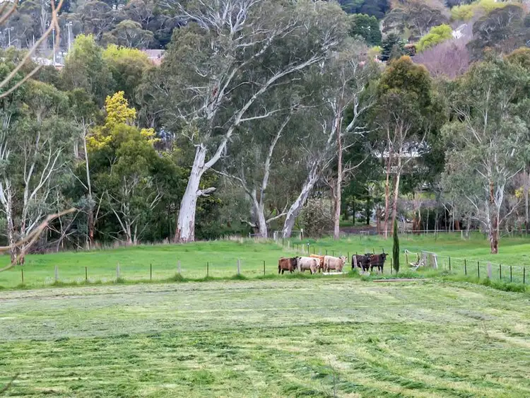 Fourth view of Homely house listing, 21A Tiers Road, Woodside SA 5244