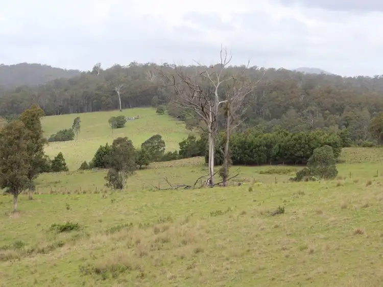 Second view of Homely land listing, 11121 Princes Highway, Cobargo NSW 2550