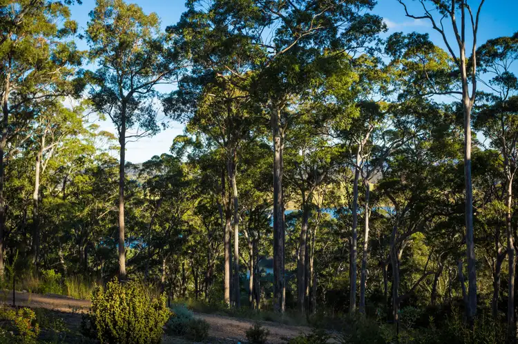 Third view of Homely rural property listing, 91 Goats Knob Road, Tathra NSW 2550