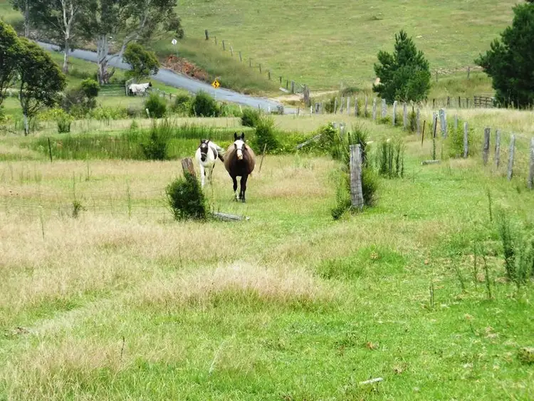 Seventh view of Homely land listing, 209 Camp Creek Road, Lowanna NSW 2450