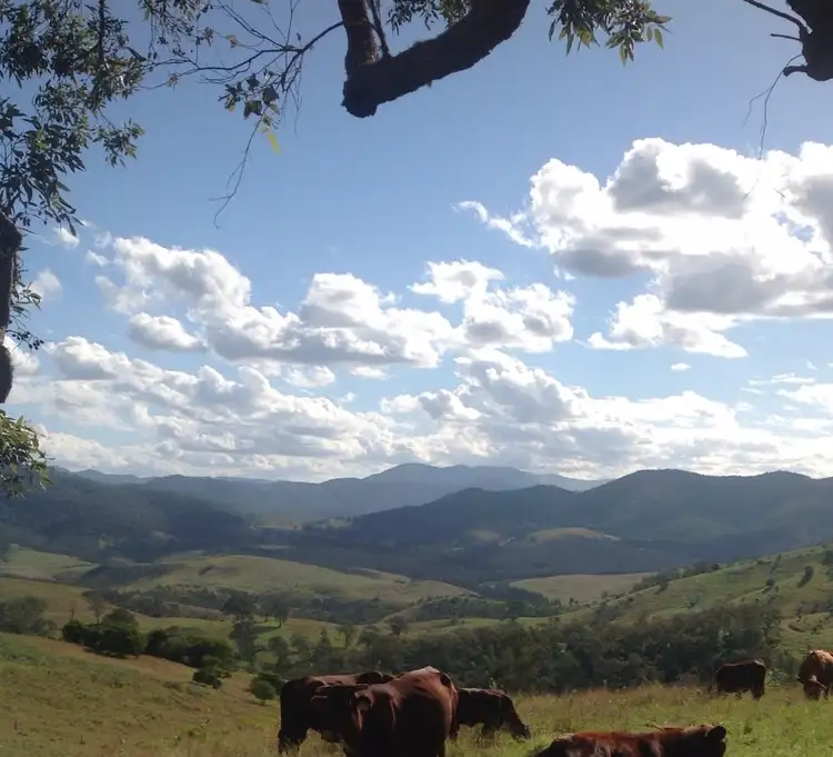 Fifth view of Homely land listing, 48 Kerriki Forest Road, Wingham NSW 2429