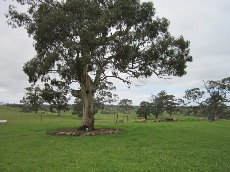 2178 Jutland Road, Keyneton SA 5353