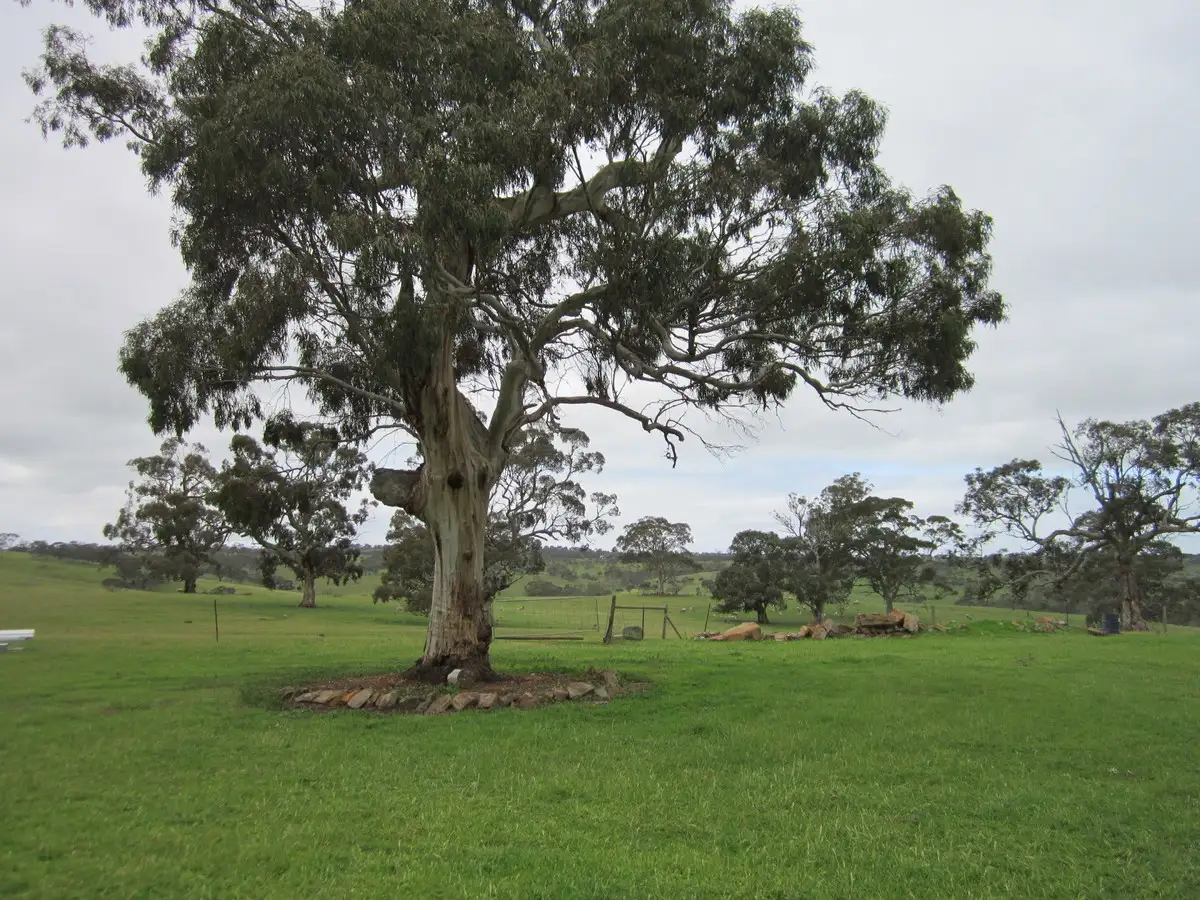 Main view of Homely house listing, 2178 Jutland Road, Keyneton SA 5353