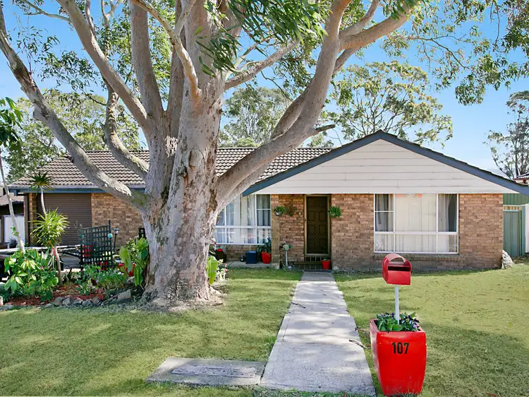 107 Dawson Road, Raymond Terrace NSW 2324